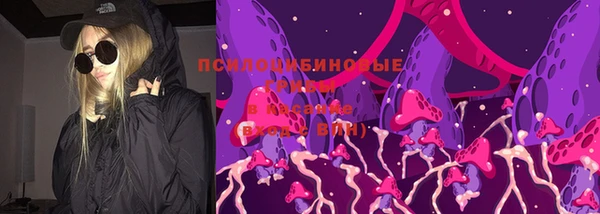 сатива Алексин