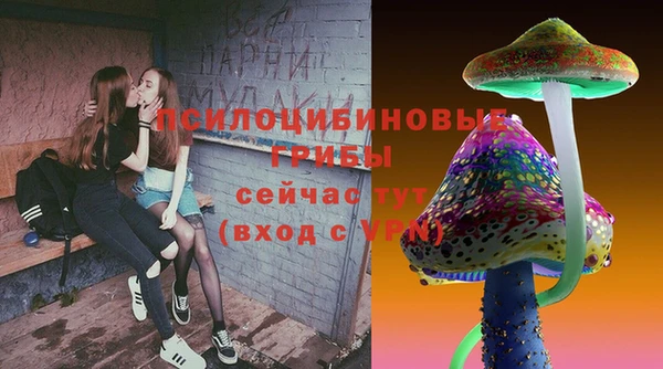 PSILOCYBIN Алексеевка