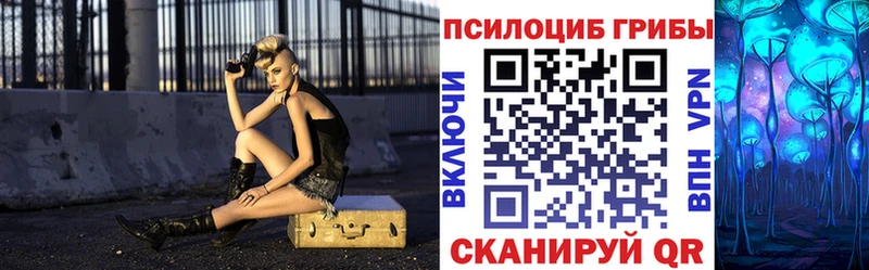 что такое   Беслан  Псилоцибиновые грибы GOLDEN TEACHER 