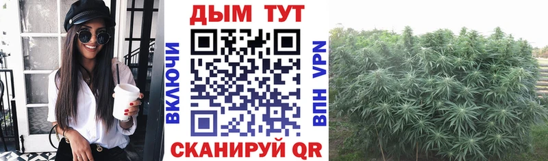 blacksprut онион  Беслан  Бошки Шишки OG Kush  где купить наркоту 